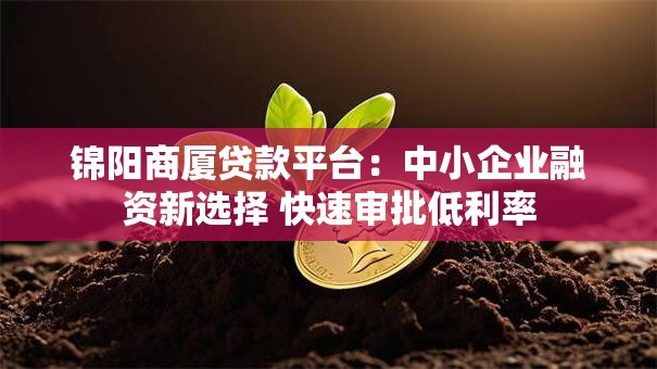 锦阳商厦贷款平台：中小企业融资新选择 快速审批低利率