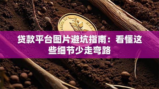 贷款平台图片避坑指南：看懂这些细节少走弯路