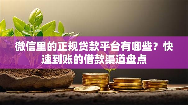 微信里的正规贷款平台有哪些？快速到账的借款渠道盘点