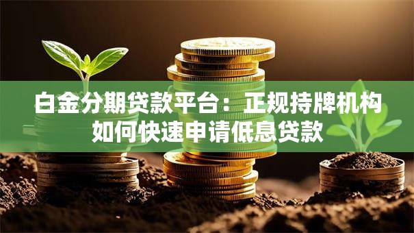 白金分期贷款平台:正规持牌机构如何快速申请低息贷款 白金分期贷款平台:正规持牌机构如何快速申请低息贷款