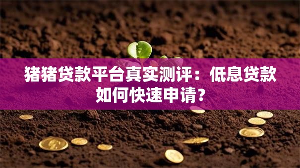 猪猪贷款平台真实测评:低息贷款如何快速申请? 猪猪贷款平台真实测评:低息贷款如何快速申请?