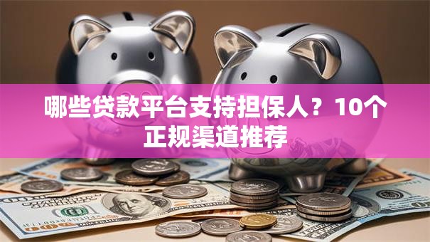 哪些贷款平台支持担保人？10个正规渠道推荐