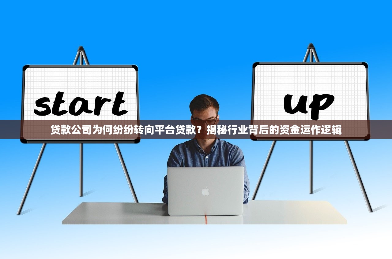 贷款公司为何纷纷转向平台贷款？揭秘行业背后的资金运作逻辑