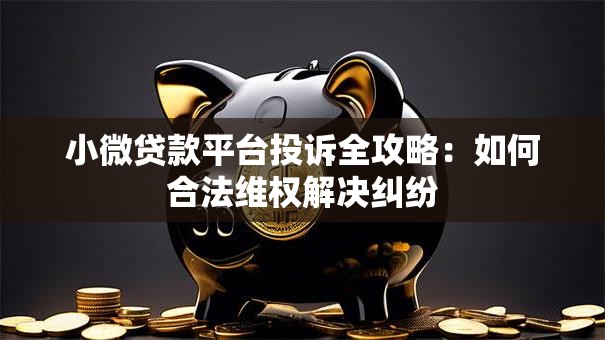小微贷款平台投诉全攻略：如何合法维权解决纠纷