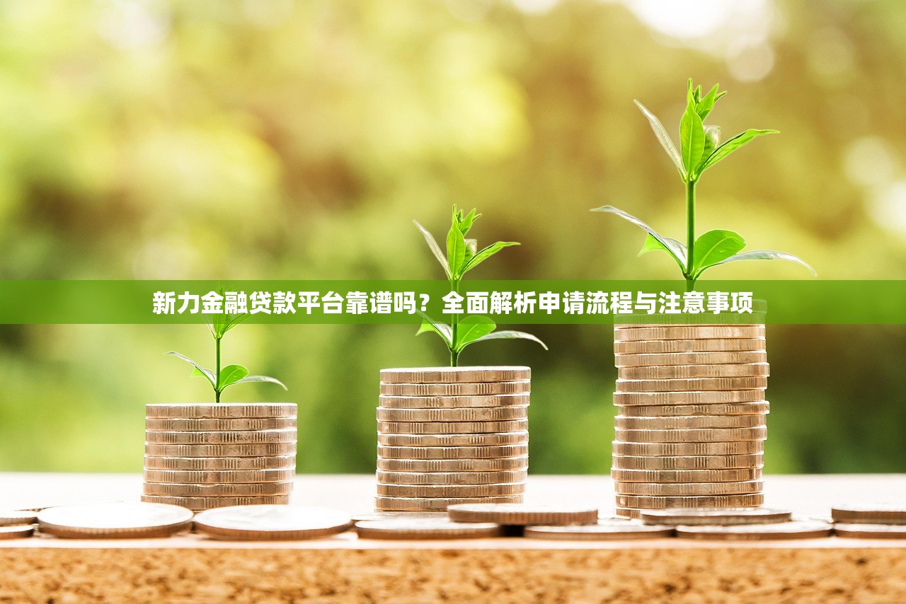 新力金融贷款平台靠谱吗？全面解析申请流程与注意事项