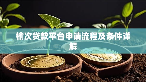 榆次贷款平台申请流程及条件详解