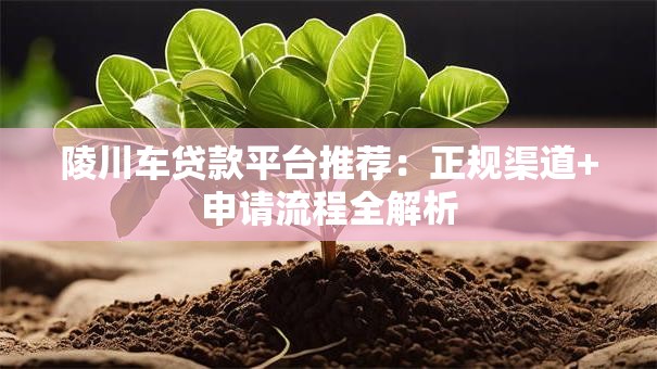 陵川车贷款平台推荐：正规渠道+申请流程全解析