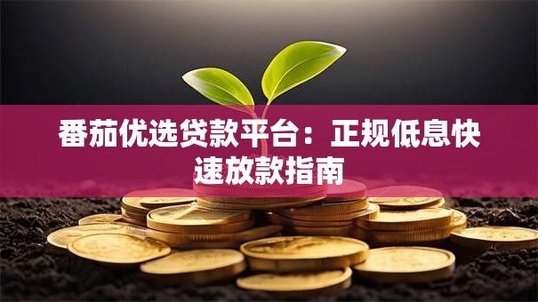 番茄优选贷款平台：正规低息快速放款指南
