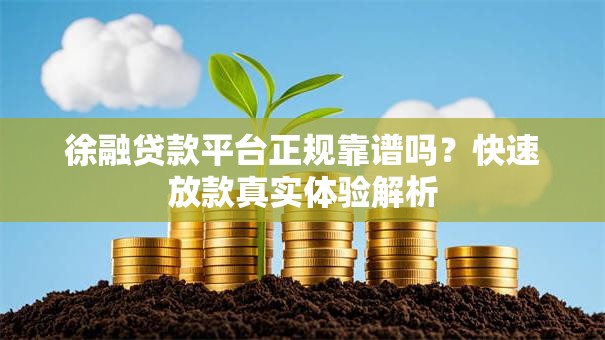 徐融贷款平台正规靠谱吗？快速放款真实体验解析