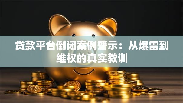 贷款平台倒闭案例警示：从爆雷到维权的真实教训