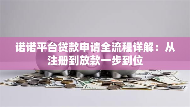 诺诺平台贷款申请全流程详解：从注册到放款一步到位
