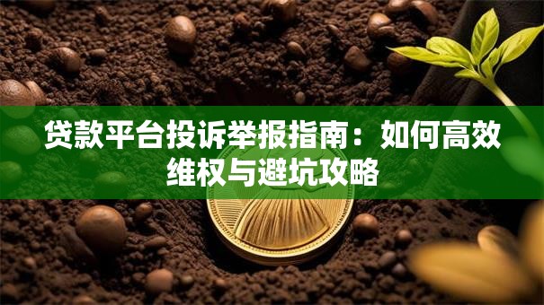 贷款平台投诉举报指南：如何高效维权与避坑攻略