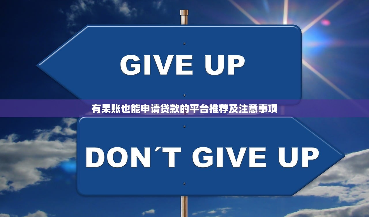 有呆账也能申请贷款的平台推荐及注意事项