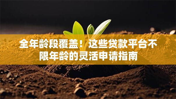 全年龄段覆盖！这些贷款平台不限年龄的灵活申请指南