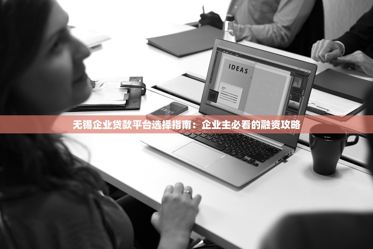 无锡企业贷款平台选择指南:企业主必看的融资攻略 无锡企业贷款平台选择指南:企业主必看的融资攻略