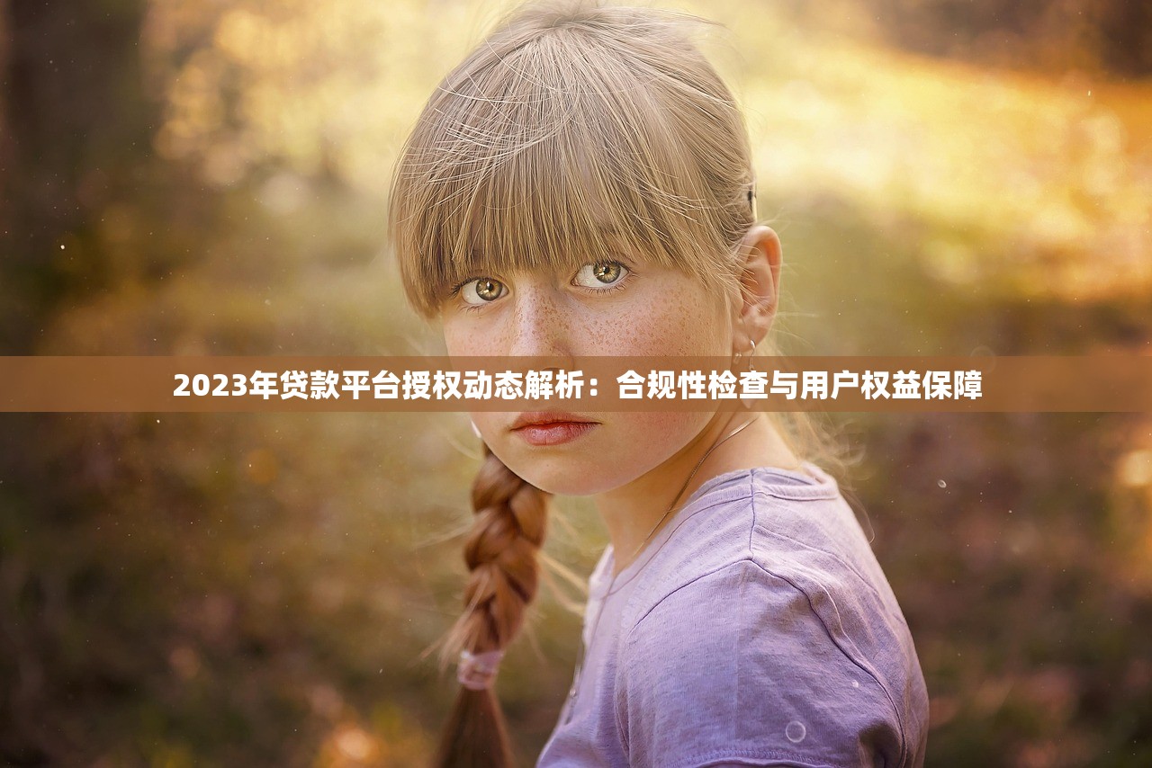2023年贷款平台授权动态解析：合规性检查与用户权益保障