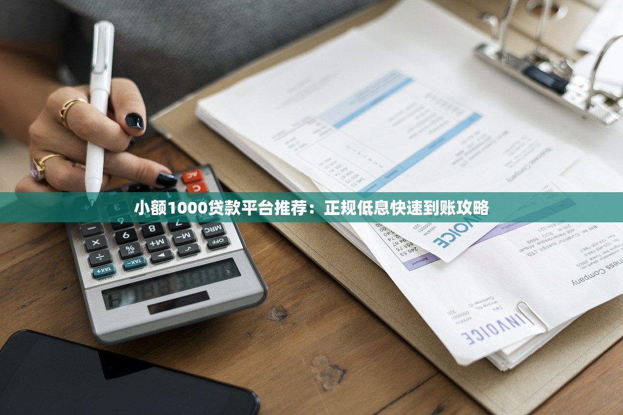 小额1000贷款平台推荐：正规低息快速到账攻略