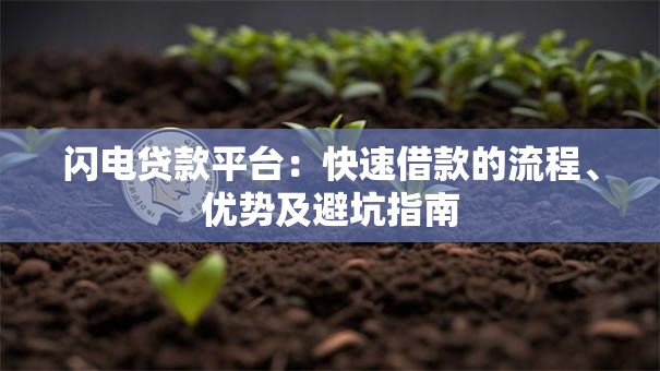 闪电贷款平台:快速借款的流程、优势及避坑指南 闪电贷款平台:快速借款的流程、优势及避坑指南