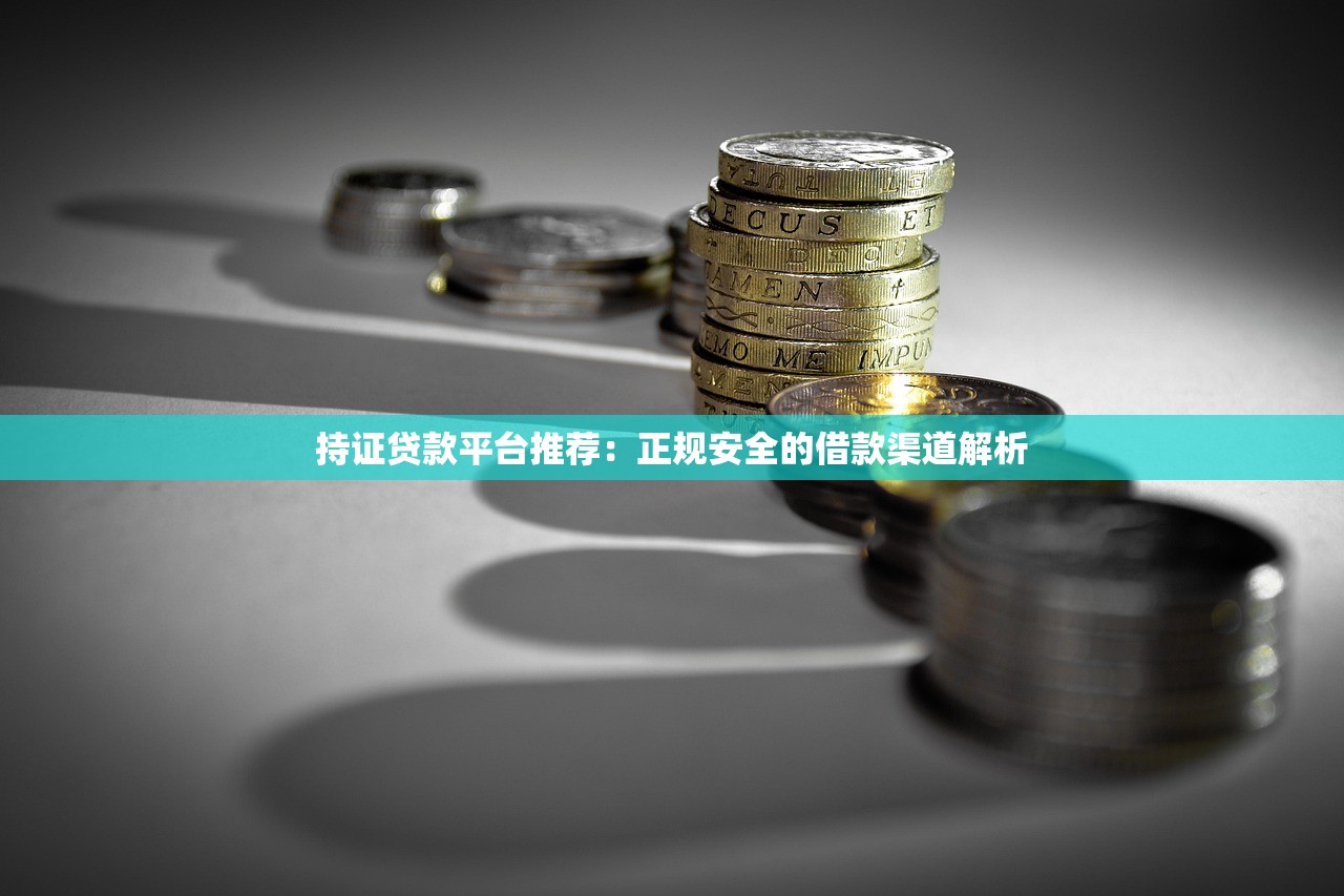 持证贷款平台推荐：正规安全的借款渠道解析