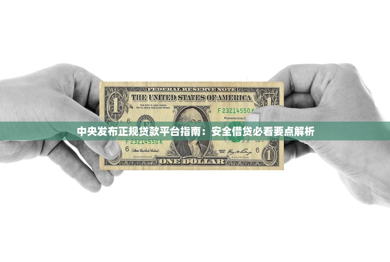 中央发布正规贷款平台指南：安全借贷必看要点解析