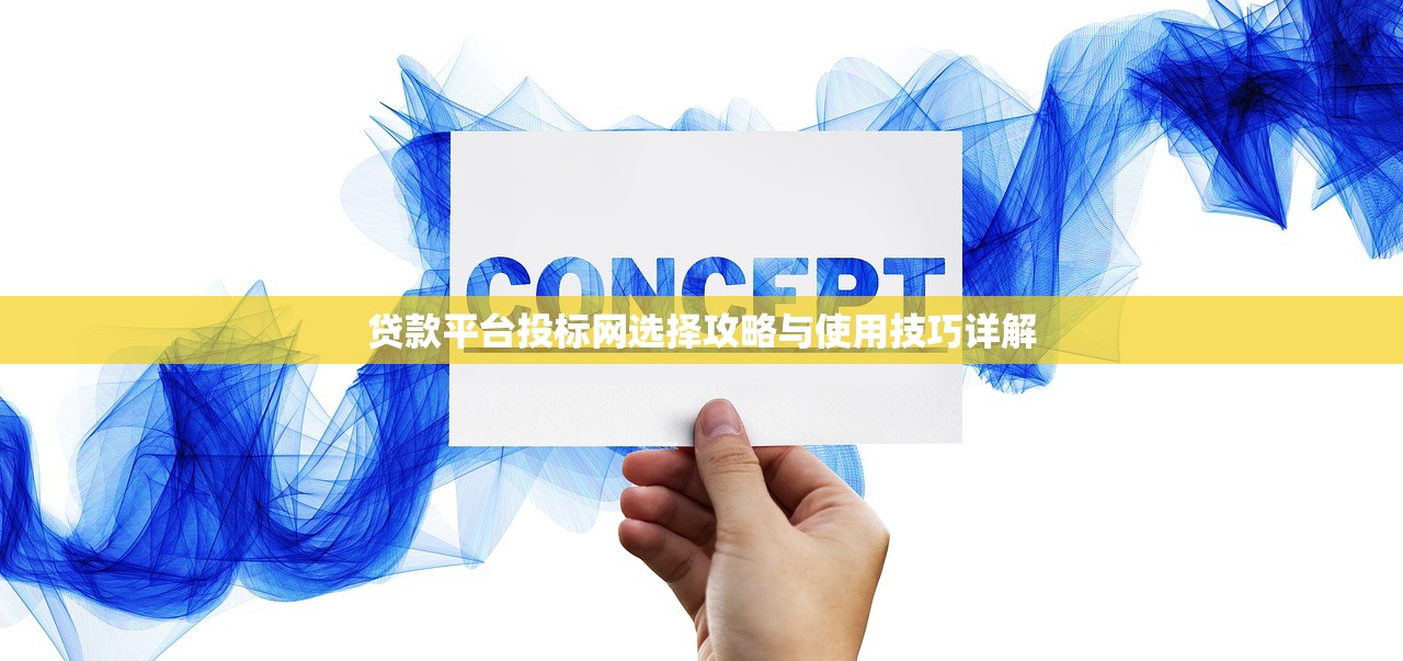 贷款平台投标网选择攻略与使用技巧详解