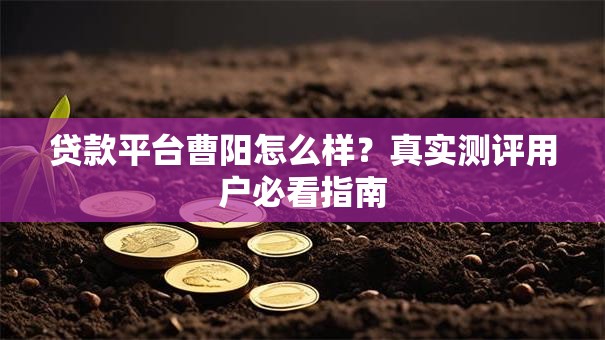 贷款平台曹阳怎么样？真实测评用户必看指南