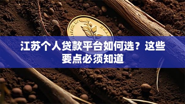 江苏个人贷款平台如何选？这些要点必须知道