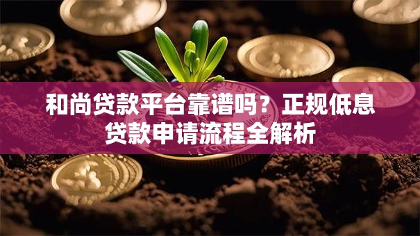 和尚贷款平台靠谱吗？正规低息贷款申请流程全解析