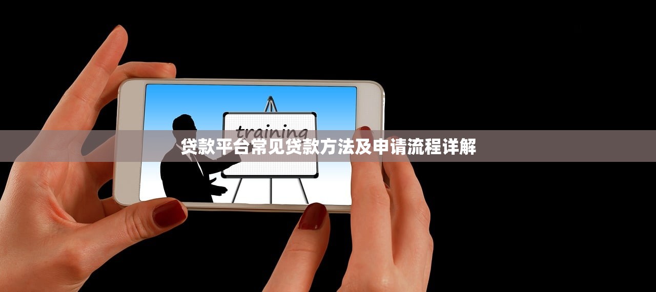贷款平台常见贷款方法及申请流程详解