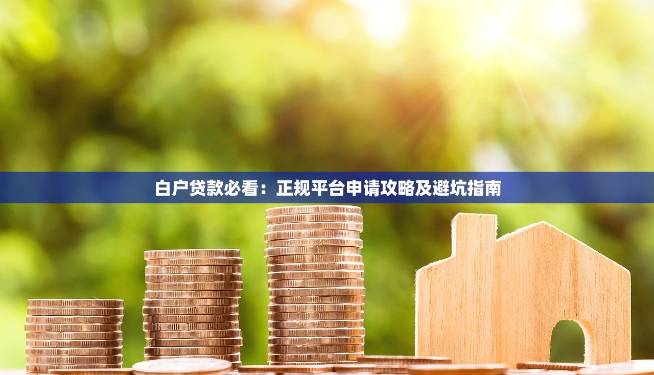 白户贷款必看：正规平台申请攻略及避坑指南