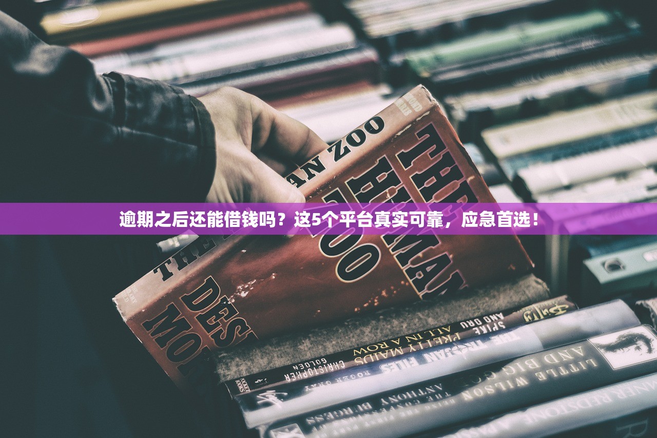 逾期之后还能借钱吗?这5个平台真实可靠,应急首选! 逾期之后还能借钱吗?这5个平台真实可靠,应急首选!