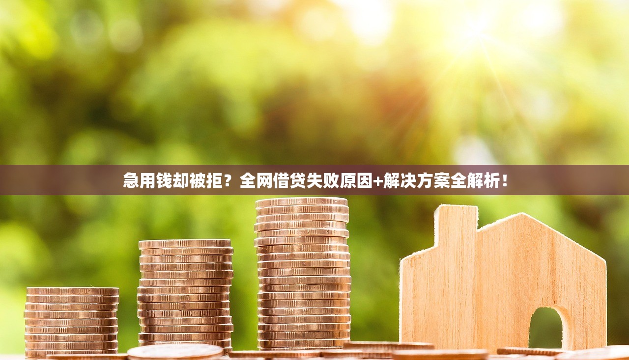 急用钱却被拒?全网借贷失败原因+解决方案全解析! 急用钱却被拒?全网借贷失败原因+解决方案全解析!