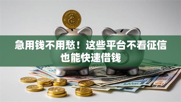 急用钱不用愁！这些平台不看征信也能快速借钱