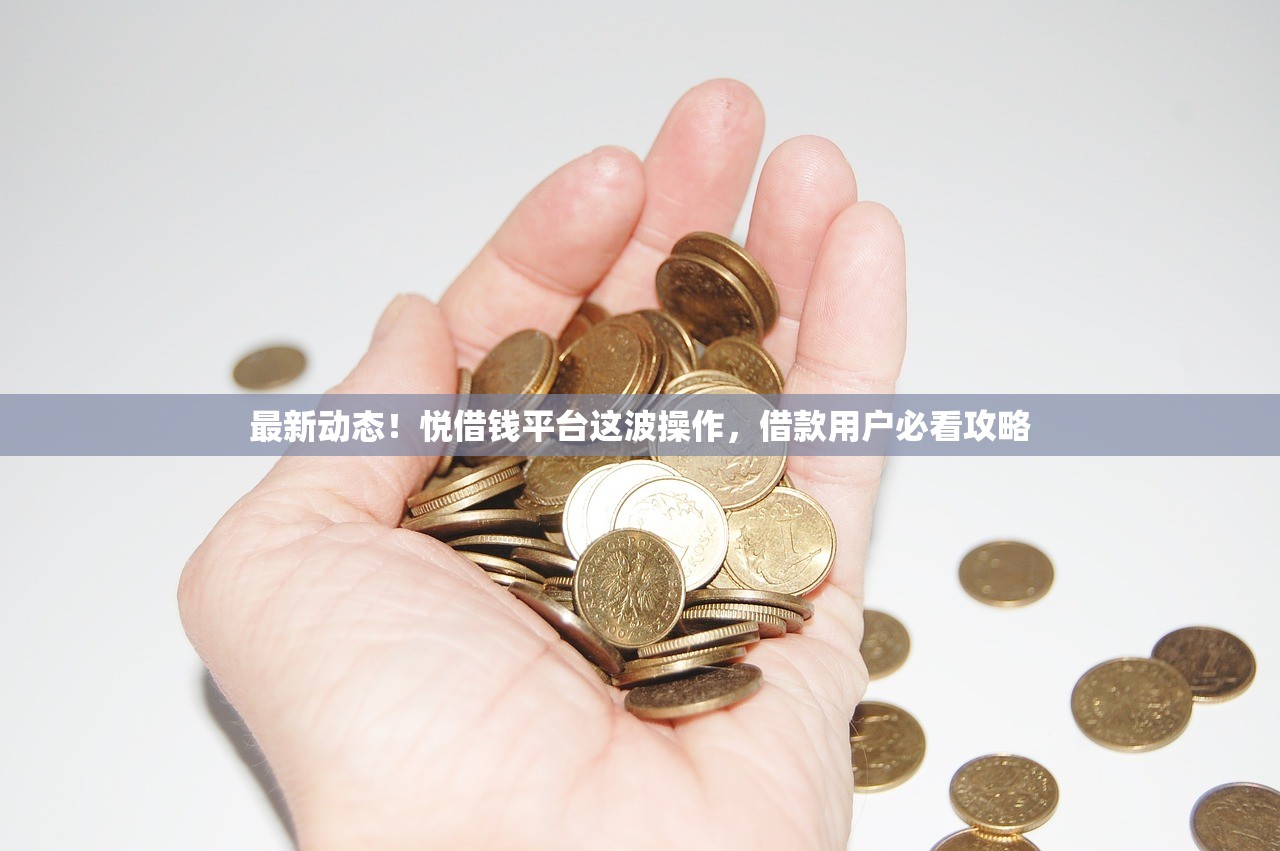 最新动态！悦借钱平台这波操作，借款用户必看攻略