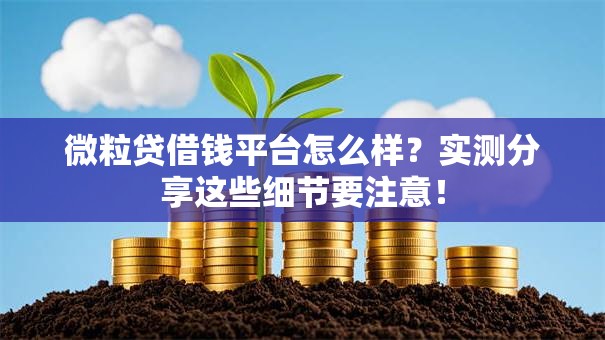 微粒贷借钱平台怎么样?实测分享这些细节要注意! 微粒贷借钱平台怎么样?实测分享这些细节要注意!