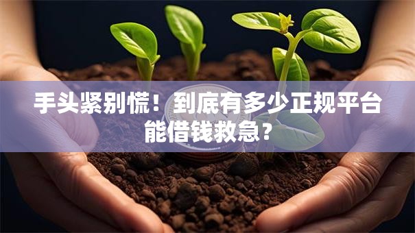 手头紧别慌！到底有多少正规平台能借钱救急？