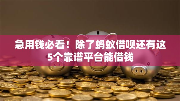急用钱必看！除了蚂蚁借呗还有这5个靠谱平台能借钱