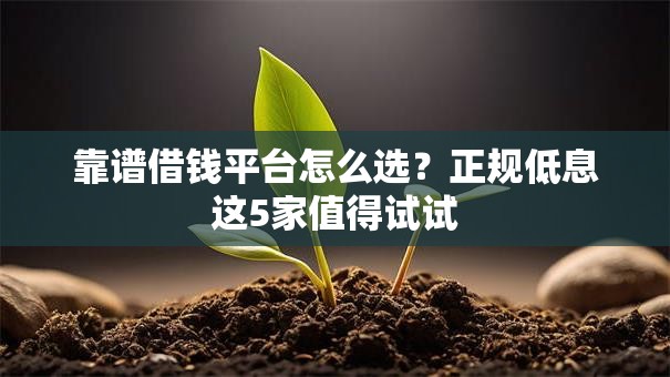 靠谱借钱平台怎么选？正规低息这5家值得试试