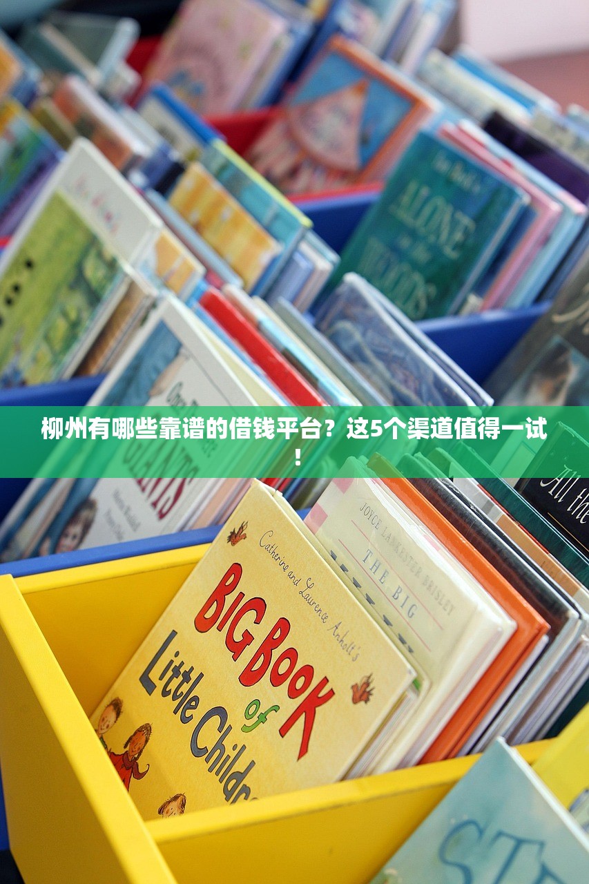 柳州有哪些靠谱的借钱平台？这5个渠道值得一试！