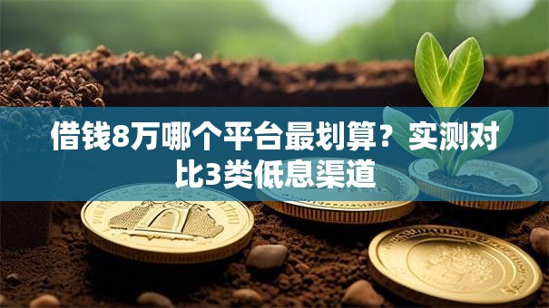 借钱8万哪个平台最划算？实测对比3类低息渠道
