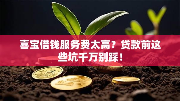 喜宝借钱服务费太高？贷款前这些坑千万别踩！