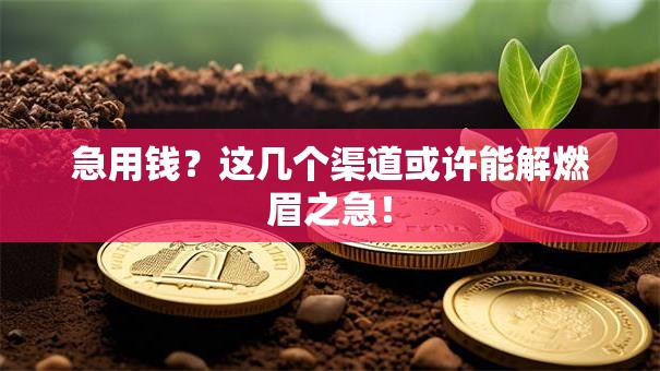 急用钱？这几个渠道或许能解燃眉之急！