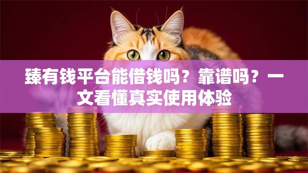 臻有钱平台能借钱吗？靠谱吗？一文看懂真实使用体验