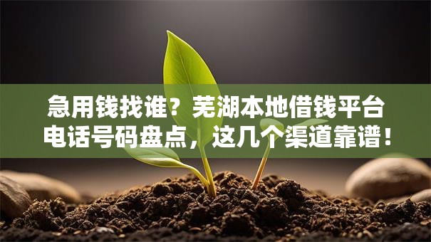 急用钱找谁？芜湖本地借钱平台电话号码盘点，这几个渠道靠谱！