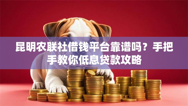 昆明农联社借钱平台靠谱吗？手把手教你低息贷款攻略
