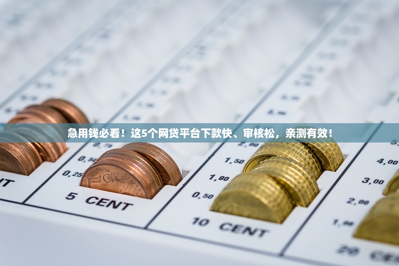 急用钱必看！这5个网贷平台下款快、审核松，亲测有效！