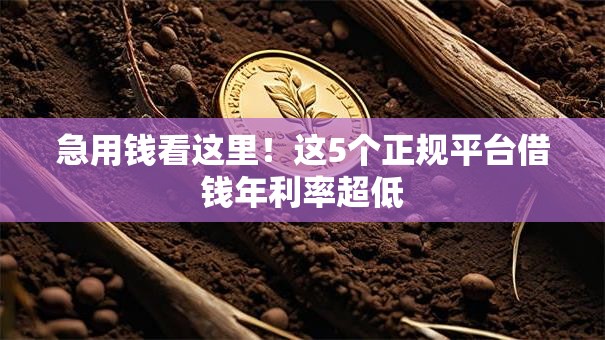 急用钱看这里！这5个正规平台借钱年利率超低
