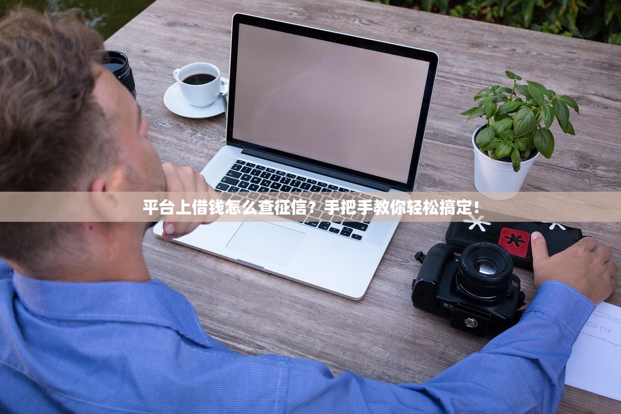 平台上借钱怎么查征信？手把手教你轻松搞定！