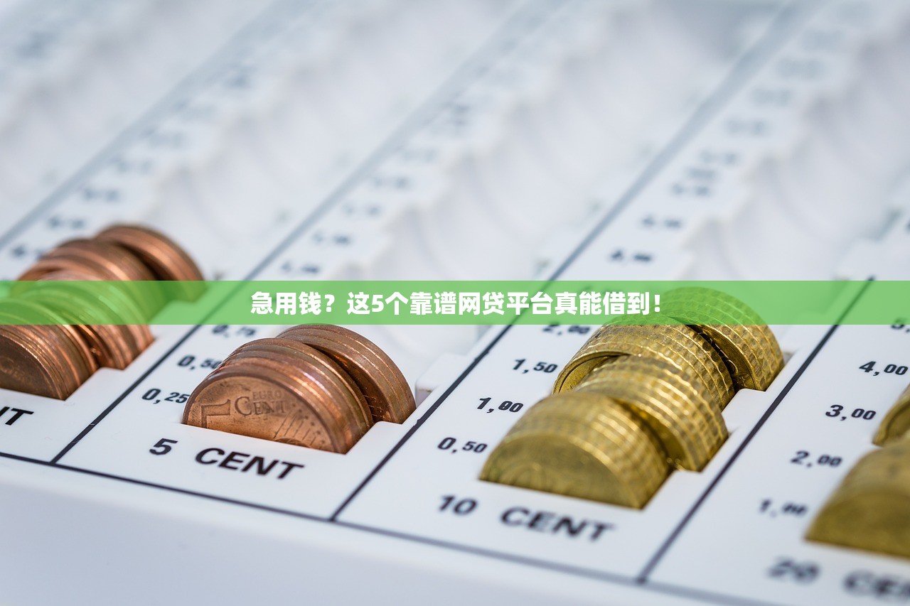 急用钱？这5个靠谱网贷平台真能借到！
