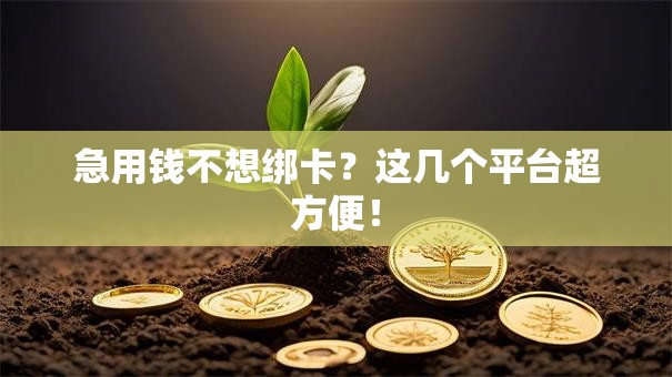 急用钱不想绑卡？这几个平台超方便！